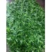 Фото Декоративний зелений паркан Green mix трава H-1,5х10 Зелений паркан - Green Mix ТМ