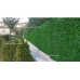 Изображение паркан Green mix зелена трава H -0,5х10 Аримком-Украина 120755 Фото Паркан Green mix зелена трава H -0,5х10 Зелений паркан - Green Mix ТМ