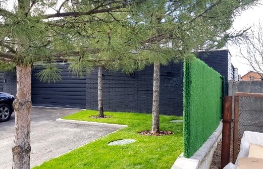 Декоративный зелёный забор трава и хвоя